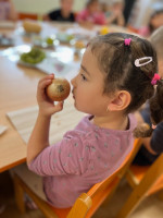 /album/ep-trieda-a-slimaciky/image2-26-jpeg/